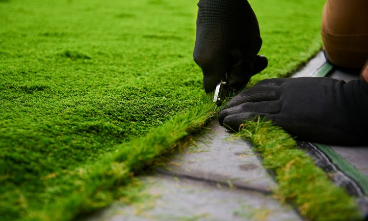 Edging and Trimming