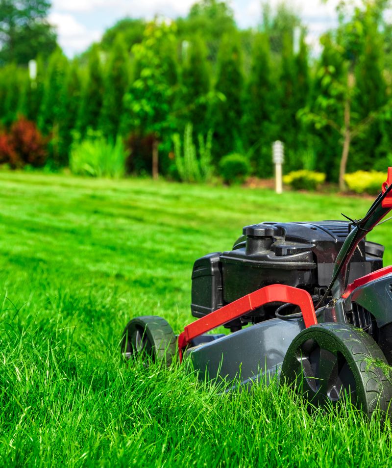 Lawn Mowing