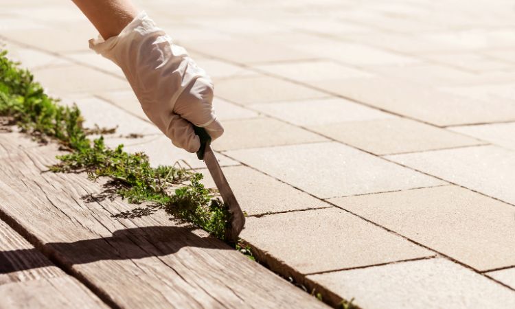 Weed Control